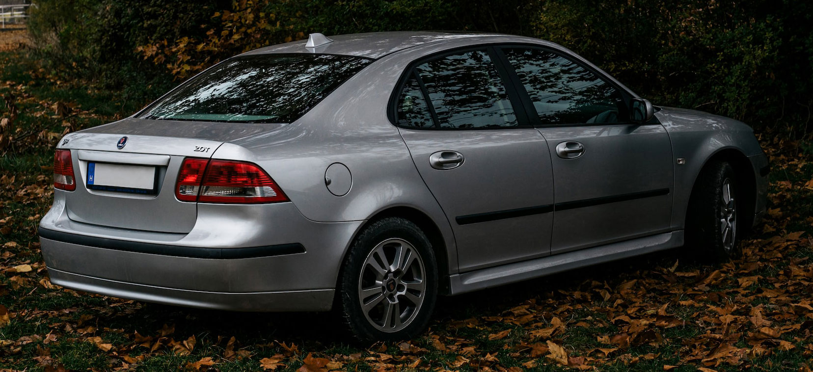 Saab car under trees in autumn setting