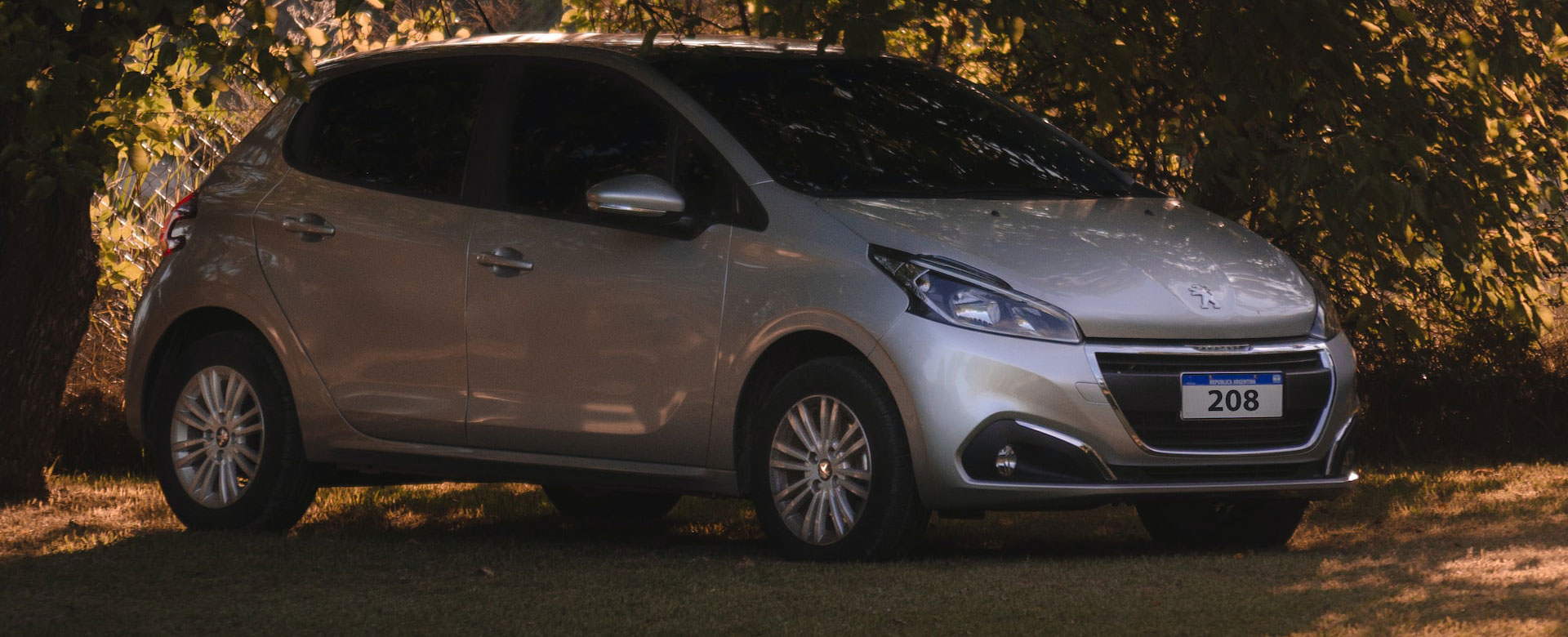 grey Peugeot under trees and shade